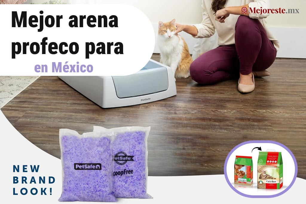 12 Mejor arena para gatos profeco en México 2024