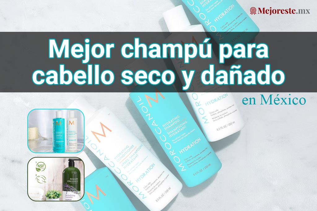 8 Mejor champú para cabello seco y dañado en México 2024