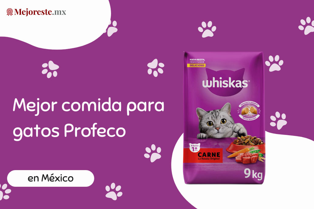 15 Mejor comida para gatos Profeco en México 2024