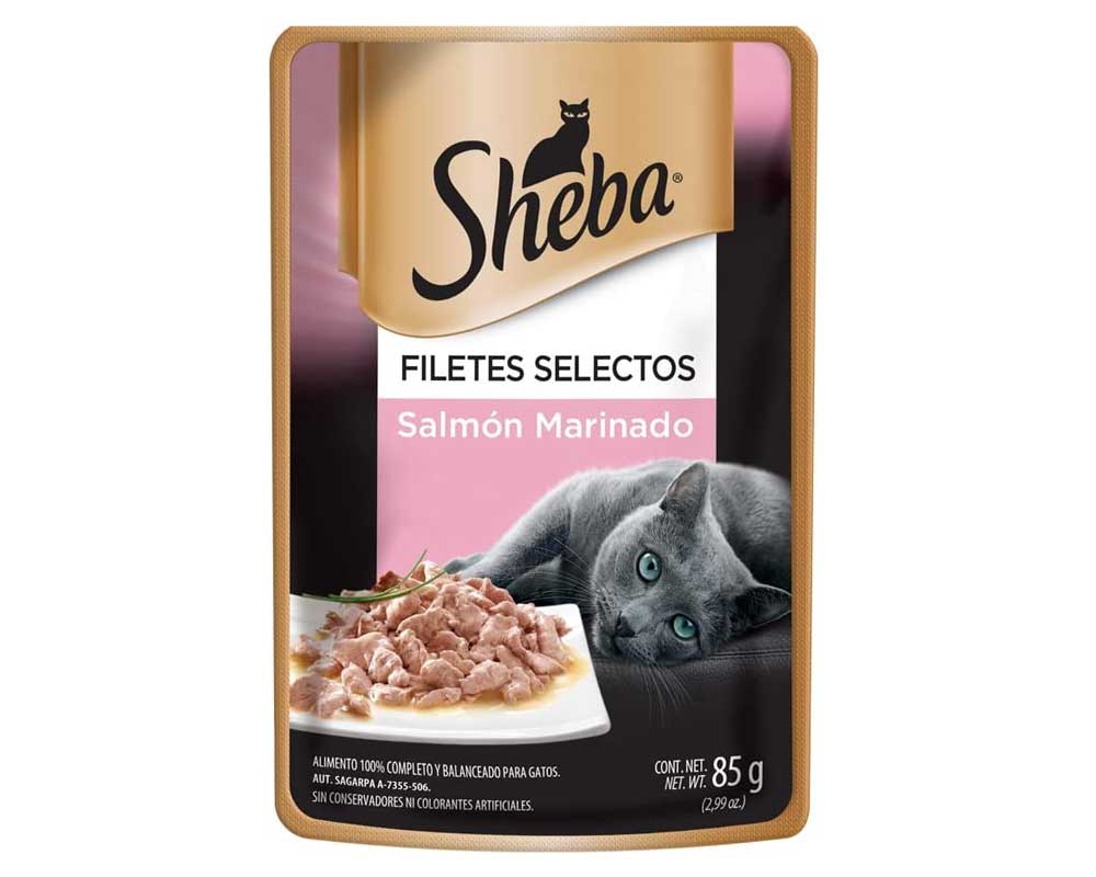 Mejor comida húmeda para gatos